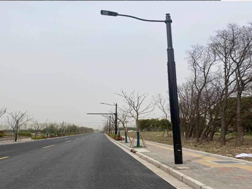 珠晖区上海综合杆 太阳能路灯工程